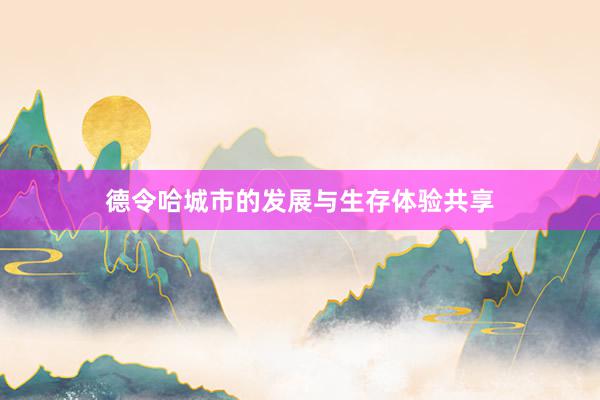 德令哈城市的发展与生存体验共享