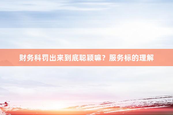财务科罚出来到底聪颖嘛？服务标的理解