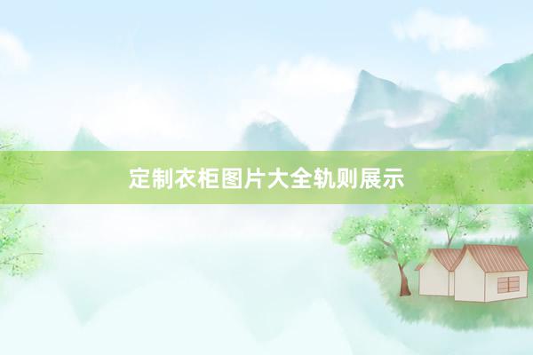 定制衣柜图片大全轨则展示
