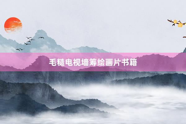 毛糙电视墙筹绘画片书籍